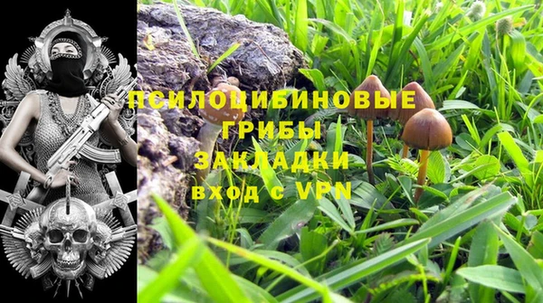 молекула духа Алексин