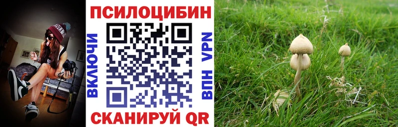 Галлюциногенные грибы прущие грибы кракен как войти Микунь