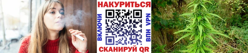 Каннабис планчик  дарк нет Telegram  Микунь 